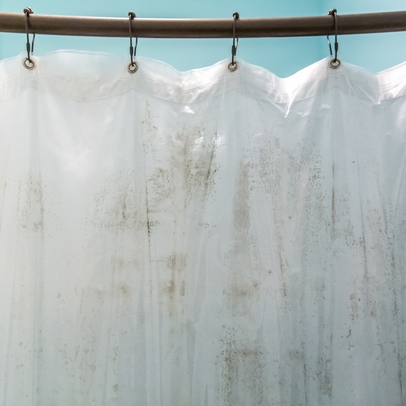 シャワーカーテンのカビの除去方法は？おすすめ商品も解説