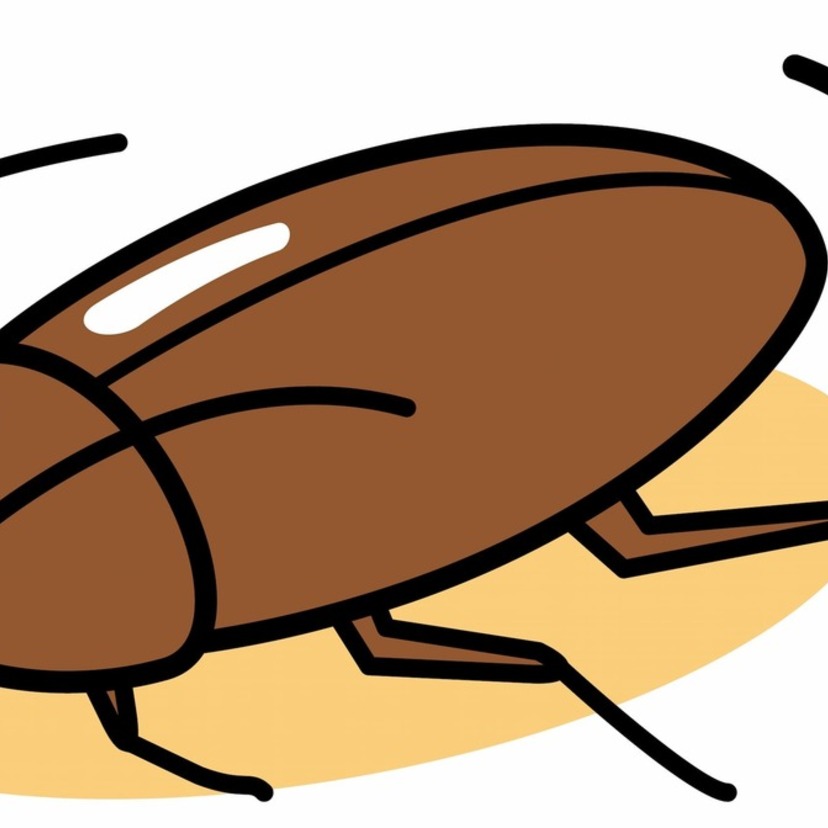 ゴキブリが出る5つの理由｜当てはまる場合は要注意！原因に合う対策をしよう