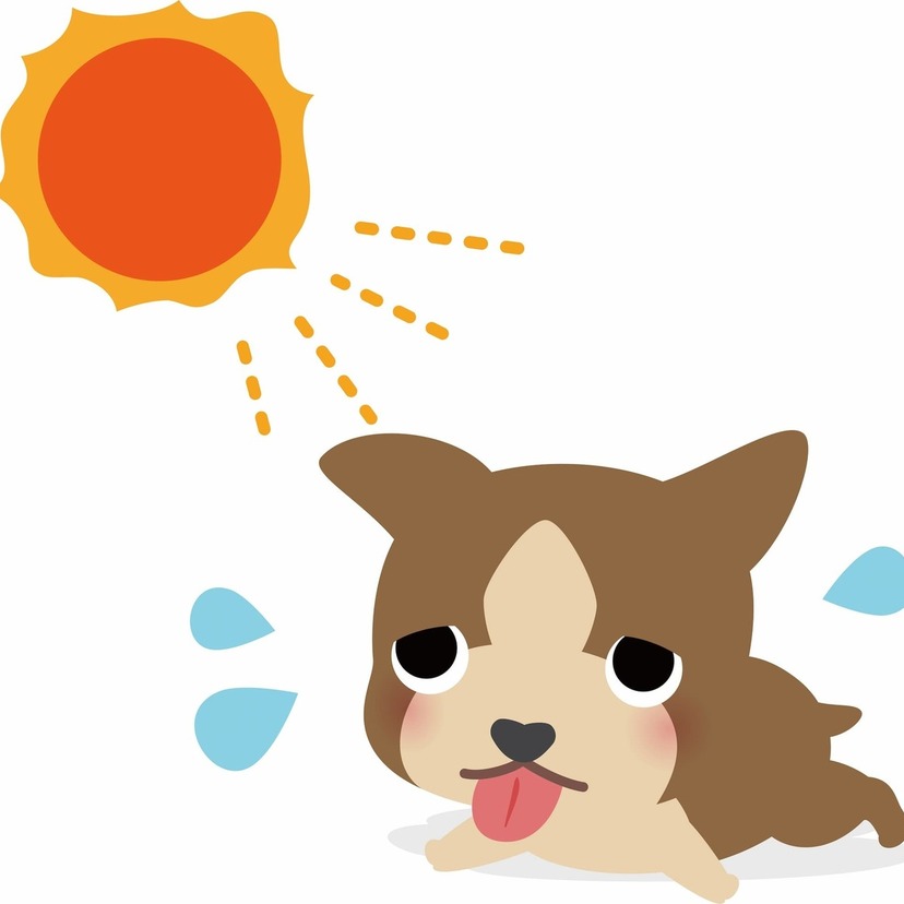 犬の熱中症の予防対策を解説！おすすめの商品は？