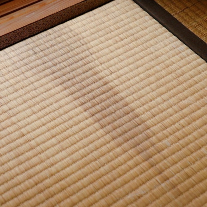 畳の湿気対策を解説！カビ・ダニを防止するためにできることは？