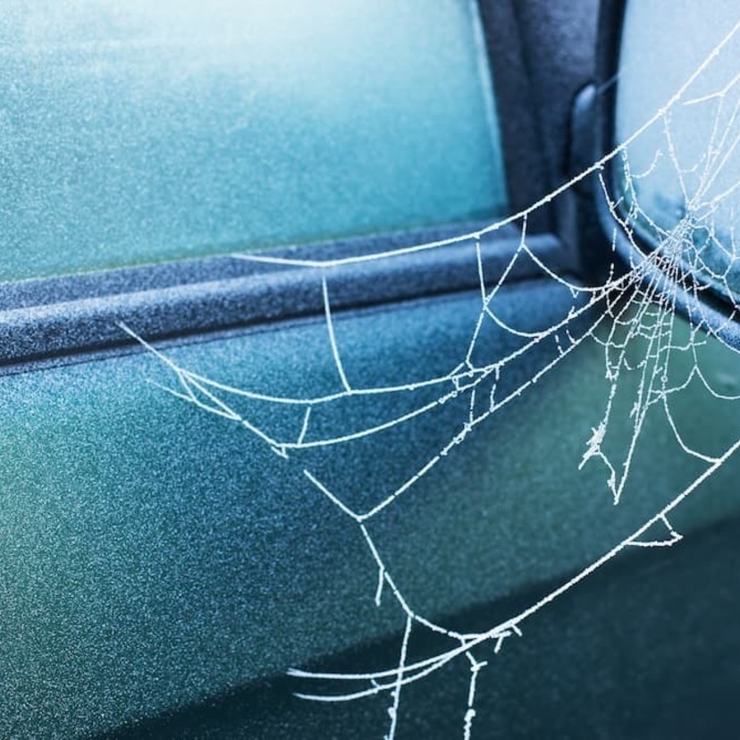 車に蜘蛛の巣をはられない方法！クモがくる原因＆対処法を解説！おすすめ商品も