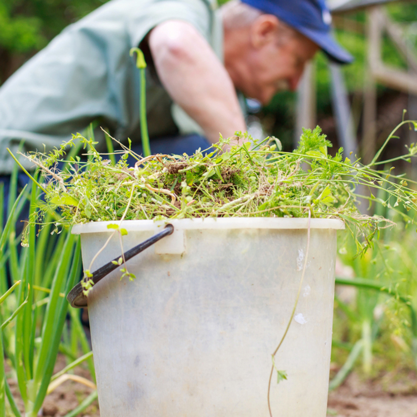 雑草を簡単に処理する方法15個 細かくする方法や抜いた後のコンポストの作り方も タスクル