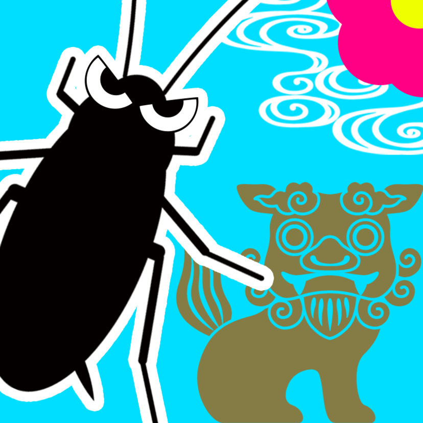 沖縄のゴキブリ代表的な7種類と対策6つ！大きい？多い？飛ぶ!?
