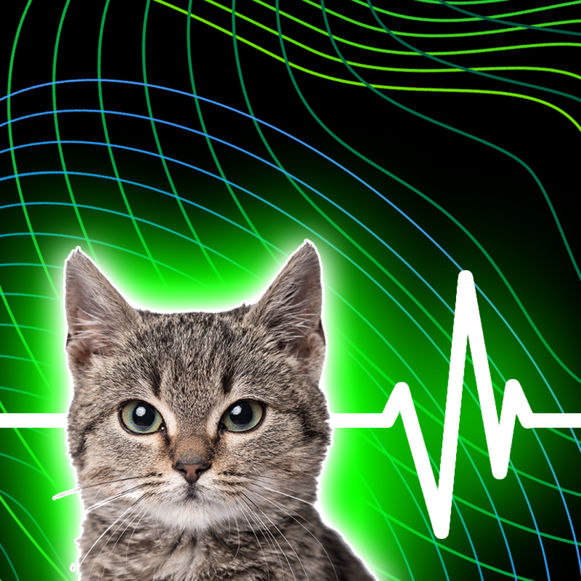 猫よけ超音波グッズのおすすめ比較ランキング10選！ソーラー・電池式など
