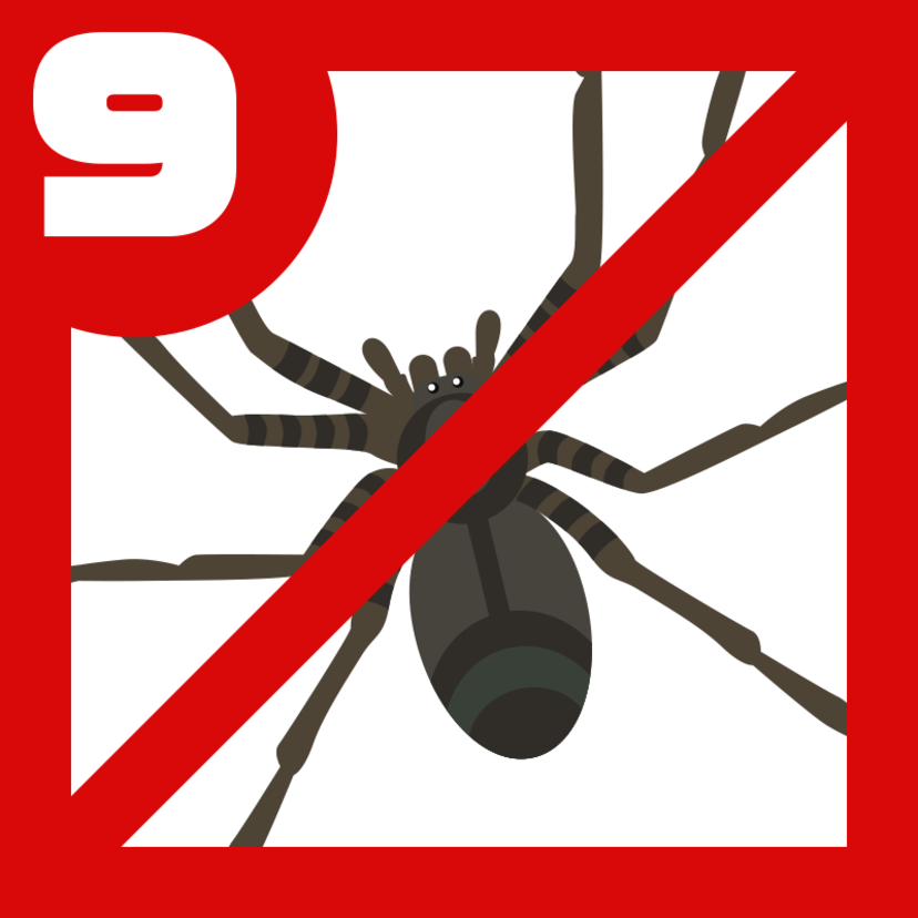 クモ対策9つ！庭やベランダ、家の蜘蛛を追い払うには？【プロ監修】