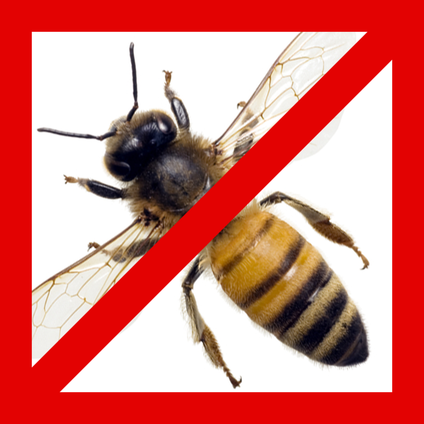 蜂の退治方法を種類別に解説！自分で退治する方法は？