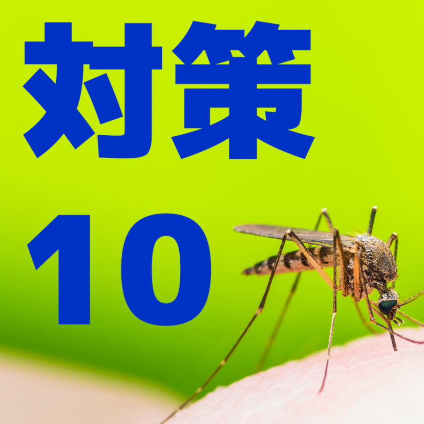 蚊の駆除方法10個！屋外・庭・屋内・部屋など【プロ監修】