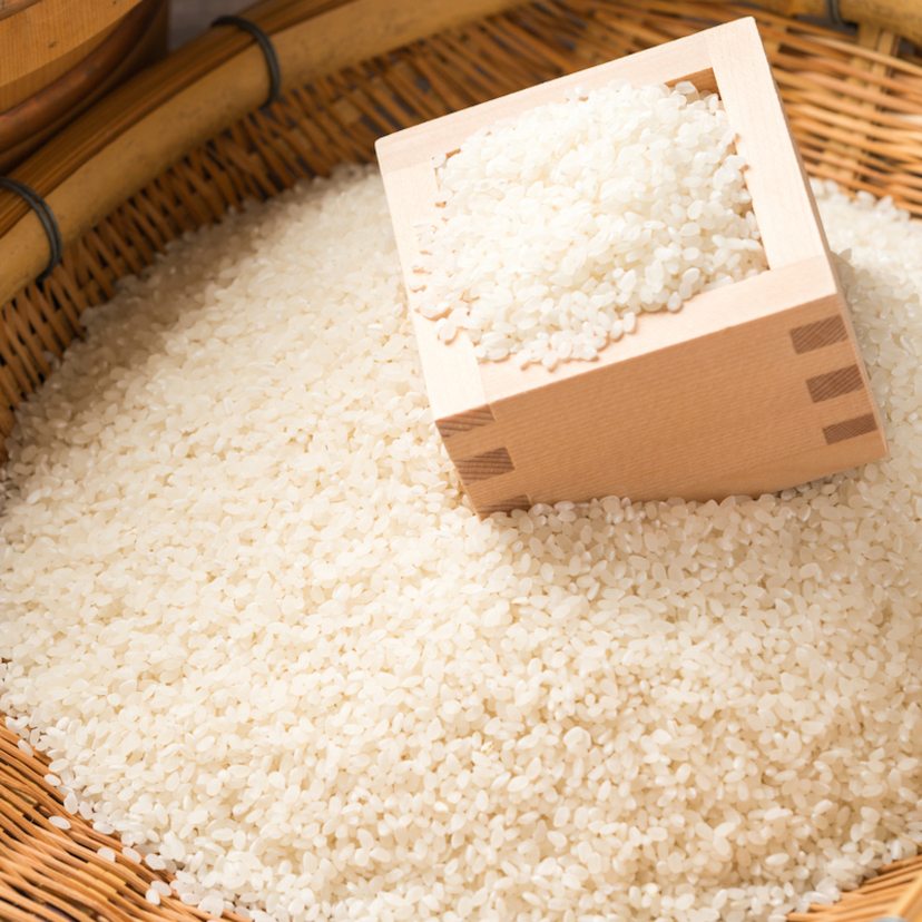 お米に虫が発生する理由と対策方法5個！保存は冷蔵庫？