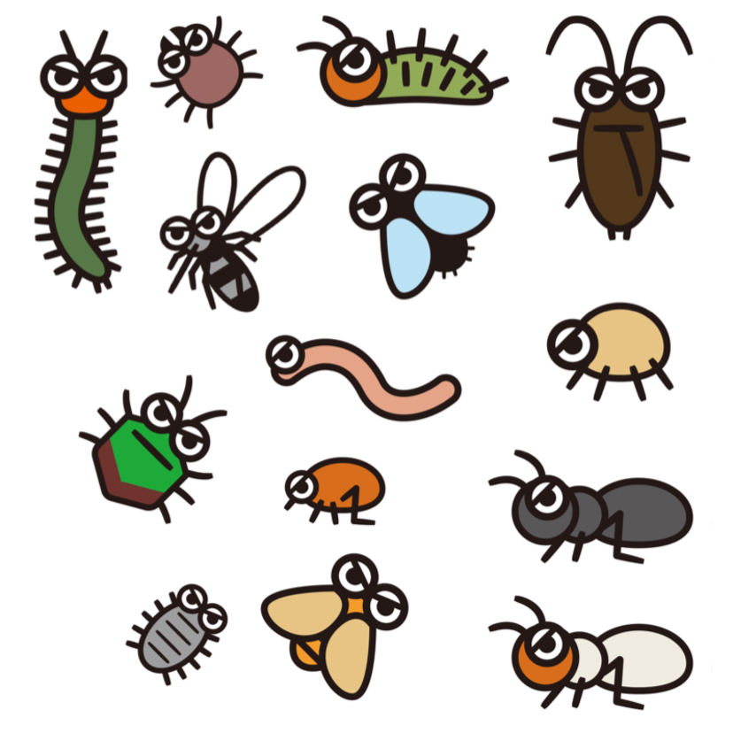 家の中で出くわす虫15種！一体どこから入ってる！？駆除方法や予防対策も徹底解説！