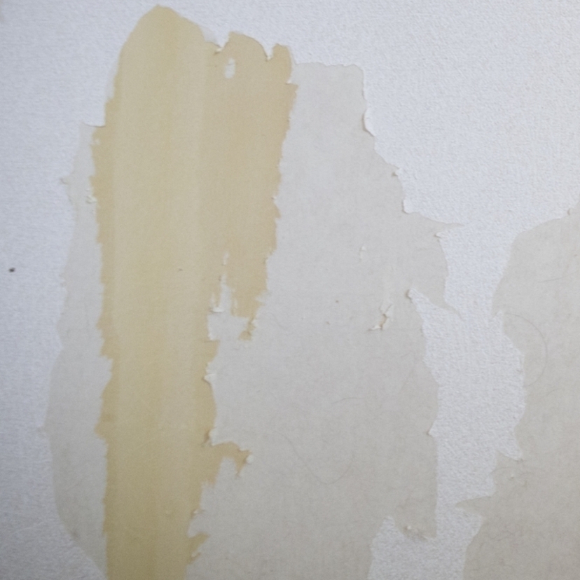 剥がれた壁紙の補修する方法6ステップ！予防法やおすすめアイテムも